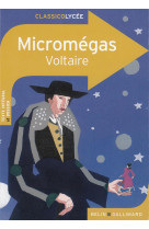 Micromegas