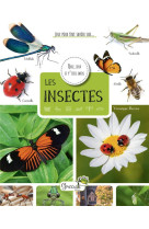 Les insectes