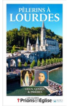 Pelerins a lourdes nouvelle edition