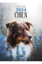 Agenda chien 2024