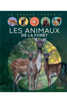 Les animaux de la forêt