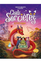 Chats et sorcieres - le puits magique