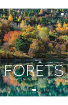 Milieux naturels forets - des racines et des hommes