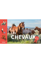 Les chevaux de a à z