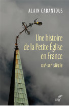 Une histoire de la petite eglise en france - xixe- xxie siecle