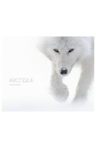 Arctique