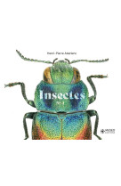 Insectes