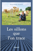 Les sillons que l'on trace