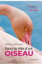 Dans la tete d-un oiseau