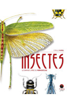 Insectes