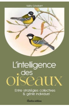 L'intelligence des oiseaux