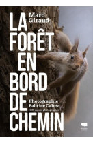 La foret en bord de chemin