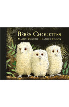 Bébés chouettes