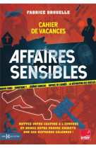 Cahier de vacances affaires sensibles