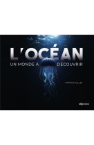 L'ocean - un monde a decouvrir