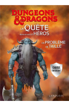 Dungeons & dragons la quete dont on est le heros - un probleme de taille