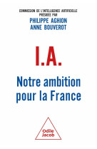 Ia : notre ambition pour la france