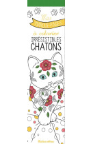 Mes marque-pages à colorier : irrésistibles chatons