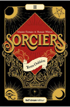 Sorciers - tome 2 terres oubliees