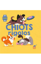 Chiots rigolos