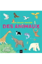 Mon grand imagier des animaux