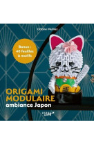 Origami modulaire ambiance japon