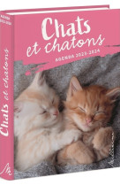 Agenda chats et chatons 2024-2025