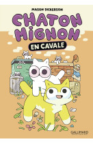 Chaton mignon - en cavale