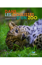 Dans les coulisses d'un zoo