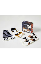 Coffret les gouters de la famille chat chaussettes, 2e ed