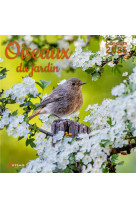 Calendrier oiseaux du jardin 2025