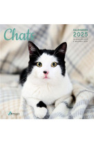 Calendrier chats 2025