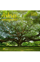 Calendrier arbres remarquables 2025