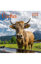 Calendrier vaches 2025