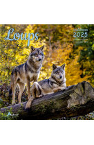 Calendrier loups 2025