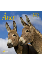 Calendrier anes 2025