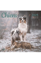 Calendrier chiens 2025