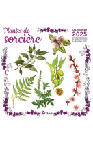 Calendrier plantes de sorciere 2025