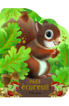 Petit ecureuil