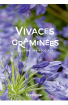 Vivaces & graminées