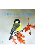 Calendrier oiseaux de nos jardins 2025