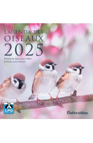 L'agenda des oiseaux 2025