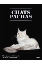 Chats pachas