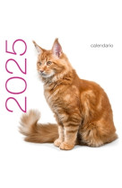 Calendrier mural 2025 chats