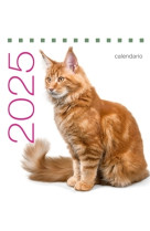 Calendrier de table 2025 chats