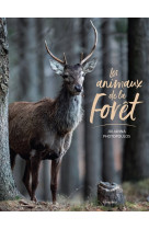 Les animaux de la forêt