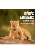 Calendrier mural bébés animaux 2025