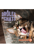 Calendrier mural drôles de chats 2025