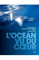 L'océan vu du c ur