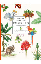 Faune et flore exotiques a colorier